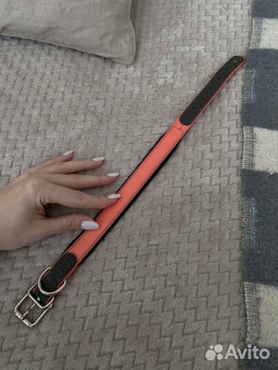 Ощейник для собаки hunter