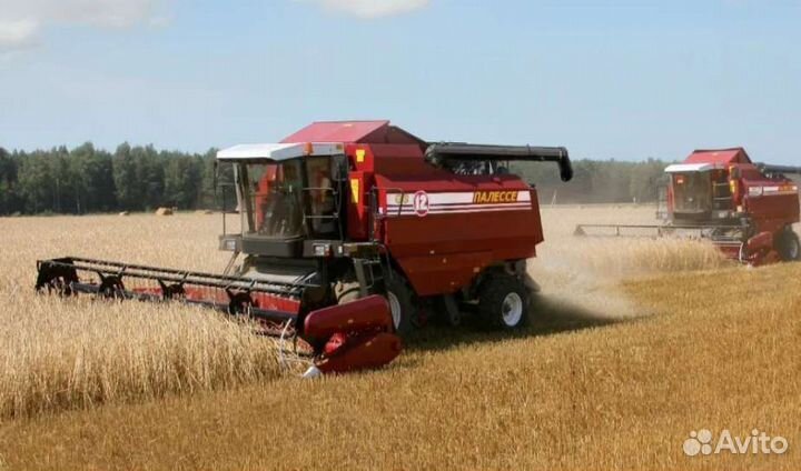 Уборка урожая комбайнами Claas. Пшеница. Кукуруза