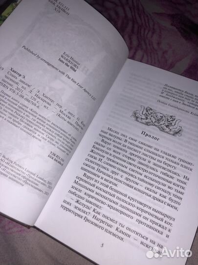 «Коты-воители 1. Стань диким» – Эрин Хантер