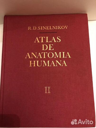 Р.Д. Синельников Атлас анатомии человека