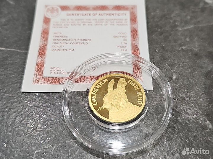 50 рублей 2023г. Золото. Белка. Сохраним наш мир