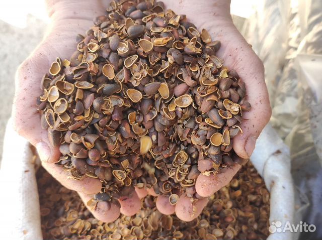 Скорлупа кедрового ореха в мешках