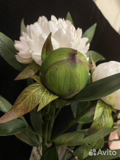 Пионы интерьерные букет