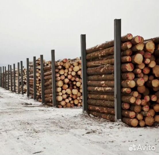 Лес кругляк сосна и ель пиловочник