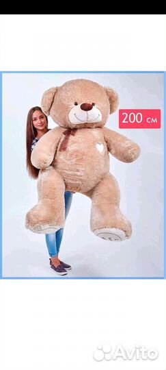 Плюшевый медведь