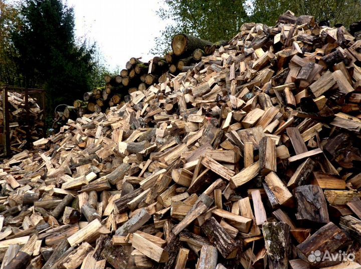 Дрова опт