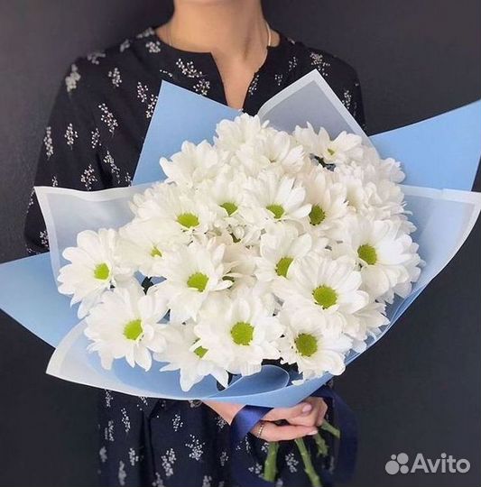 Хризантема Доставка цветов