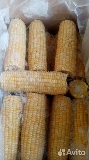 Замороженная кукуруза в початках