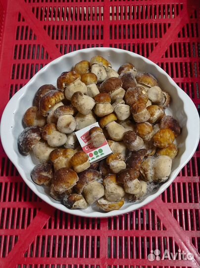 Грибы белые замороженные и сушеные