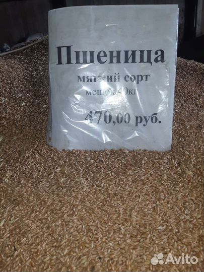 Пшеница,Ячмень,Комбикорм,Отруби, Кормовые добавки