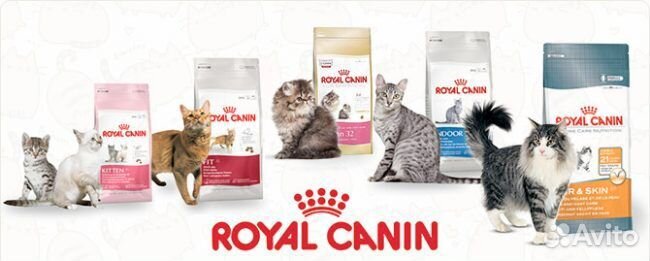 Корм Роял Канин, Про План, Карми, Хилс, Монж