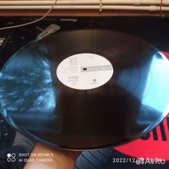 Bryan Adams Into the fire Lp