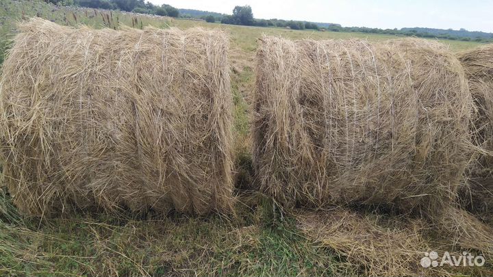 Сено в рулонах