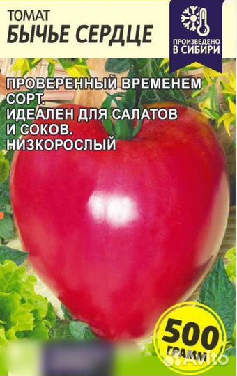 Рассада помидоров томатов
