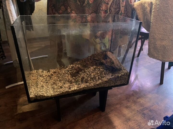 Террариум (бронь)