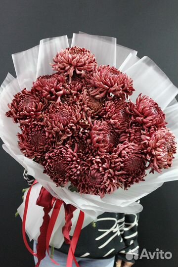 Хризантема бигуди доставка цветов