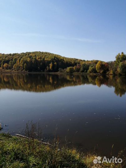 Раки вкуснейшие (живые). Варёные, готовые