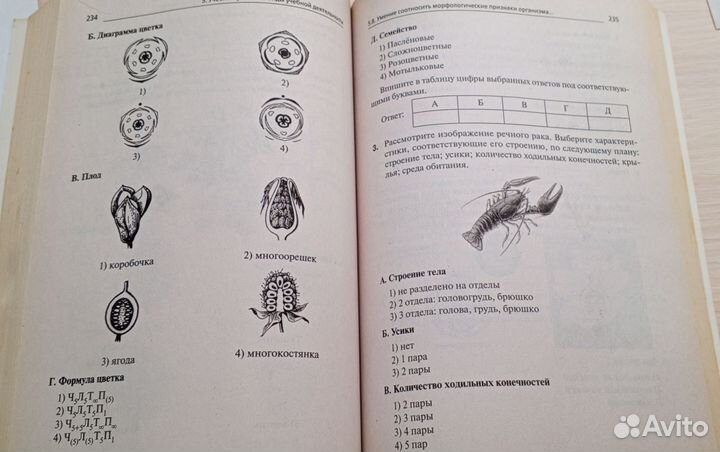 Тематический тренинг для подготовки к ОГЭ