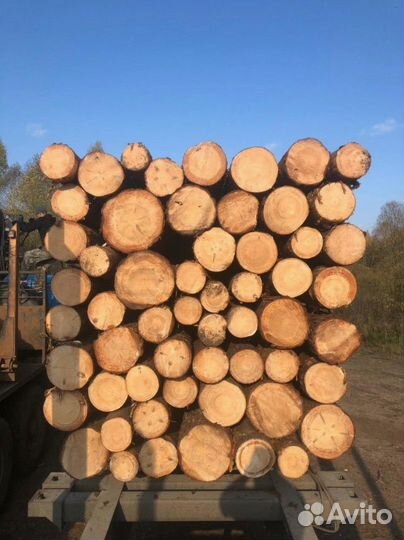 Лес кругляк опт