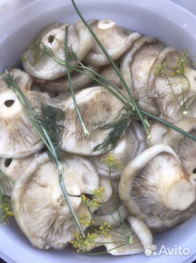 Груздь сырой соленый бочковой