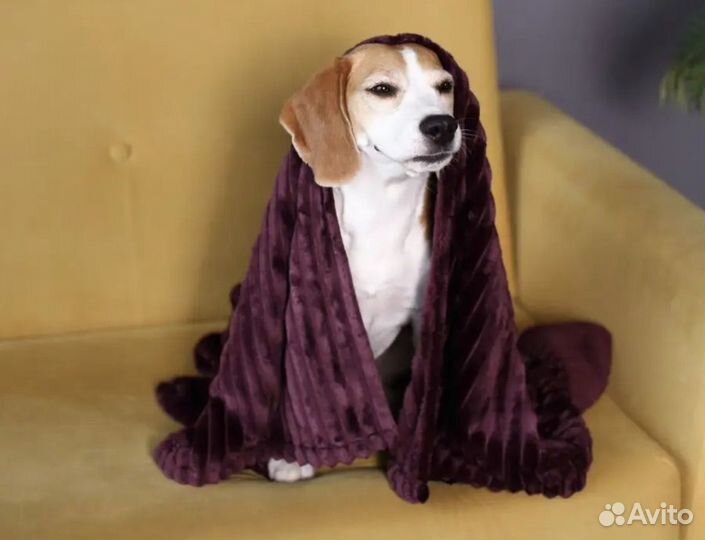 Плед для животных шью