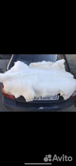 Шкуры овечьи козьи