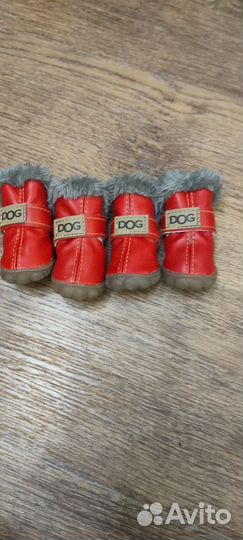 Обувь для маленьких собак