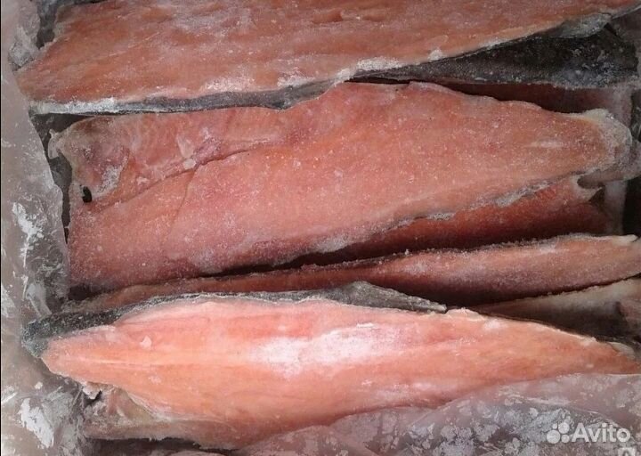 Горбуша, Минтай