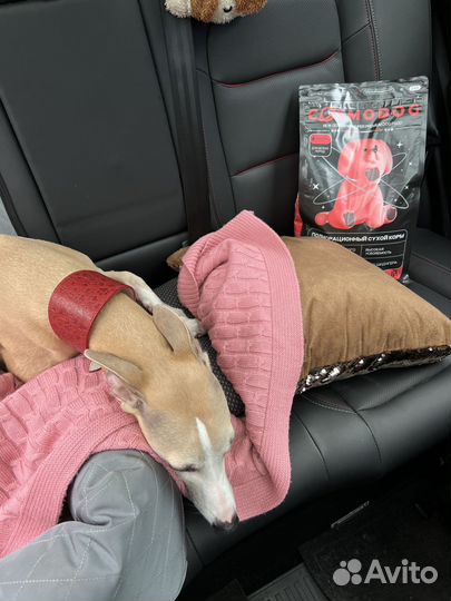 Корм для собак / опт и розница