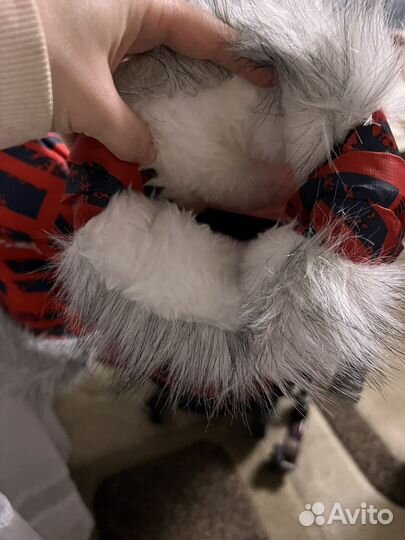 Санки детские Nika