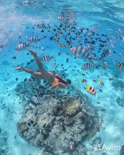 Туры в Египет из Челябинска