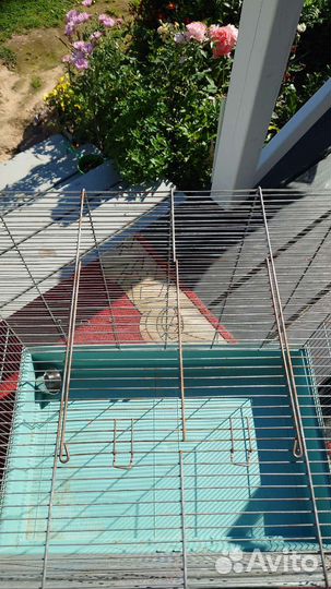 Клетка вольер для животных