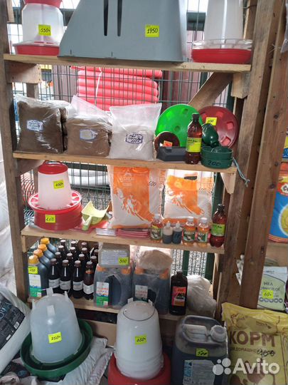 Комбикорма в Шахово дл кур, цыплят, перепелов итд