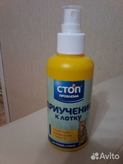 Лоток туалет для кошек,приучение к лотку