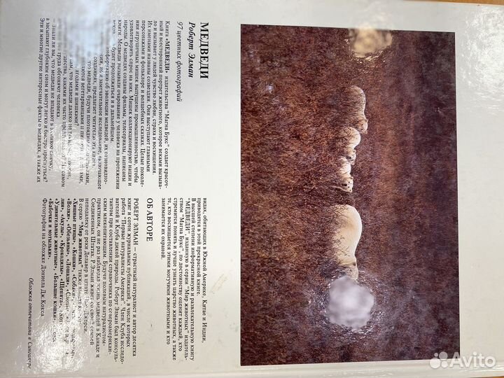 Медведи книга