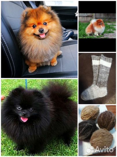 Пряжа из собачьей шерсти