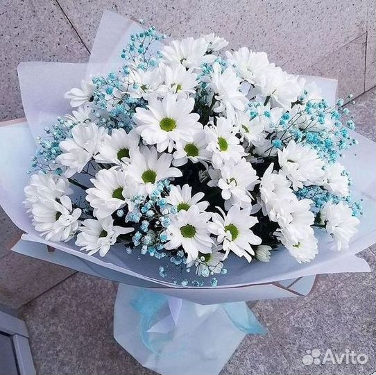 Хризантема Доставка цветов