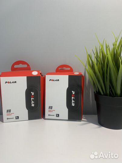 Новый пульсометр Polar H10 датчик пульса