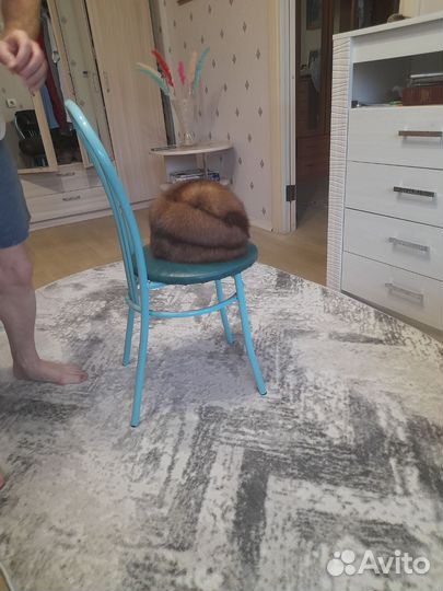 Шапка соболиная