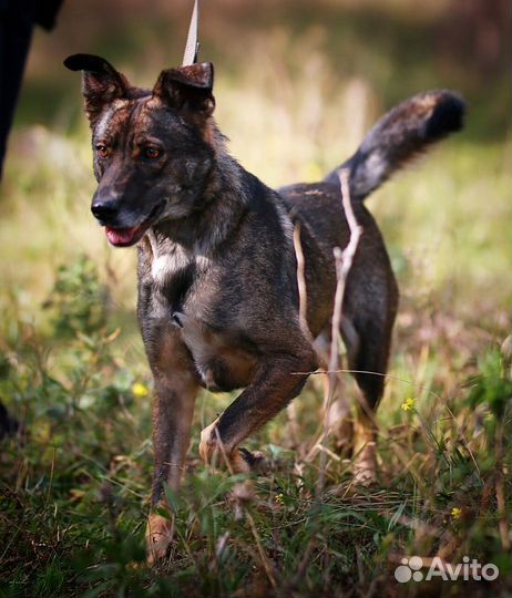 Флинт очень хочет домой