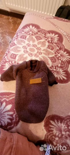 Вещи для мини Той терьера