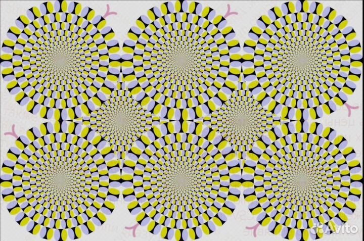 Вахта Упаковщик прожив. /питание Выплаты еженед. +