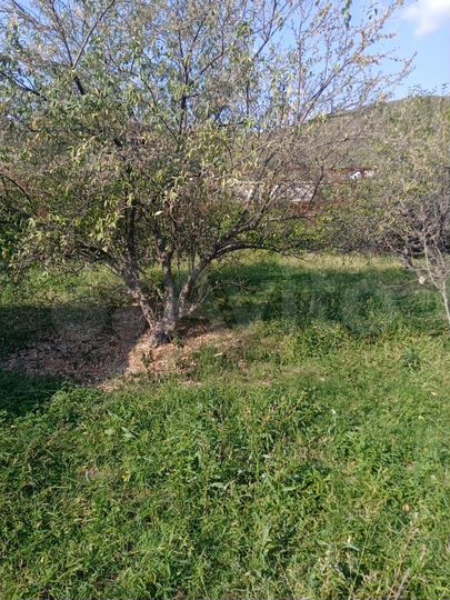 Дом 76 м² на участке 12 сот.