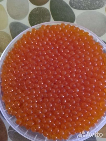 Икра кеты 2023 Качество