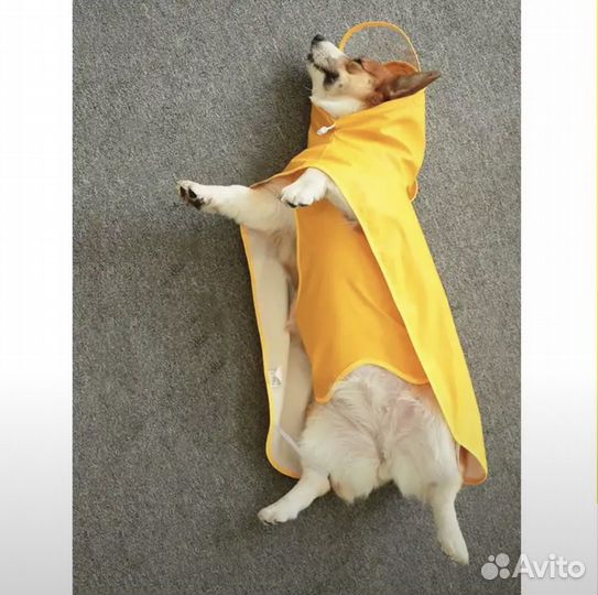 Дождевик для собаки