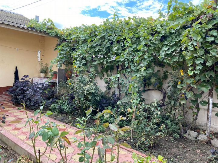 Дом 200 м² на участке 60 сот.