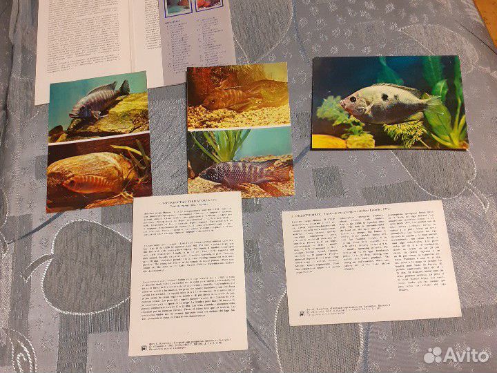 Коллекционные наборы открыток времен СССР