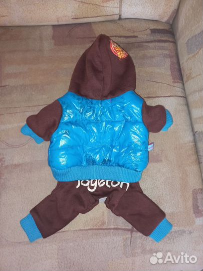 Одежда для собак мелких пород