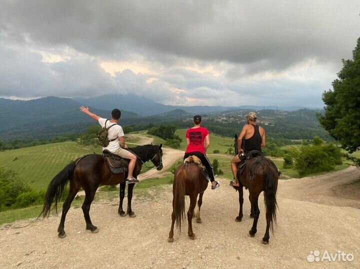 Экскурсии/Активный отдых/Сочи/Адлер