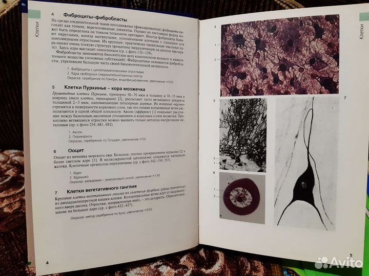 Цветной атлас (Вольфганг Кюнель, 2007)